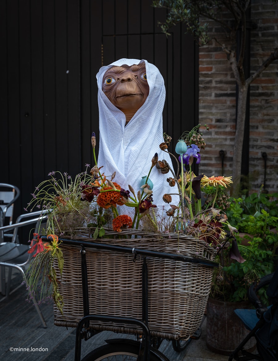 E.T. visited Pavilion Road