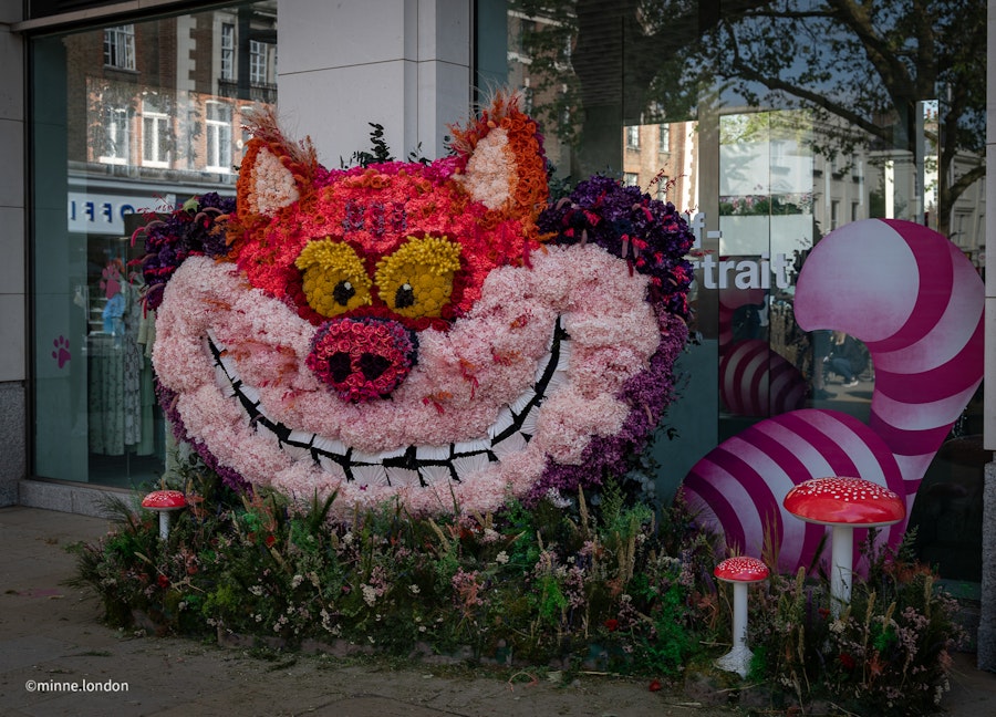 The Cheshire Cat from Alice in Wonderland at Self-Portrait