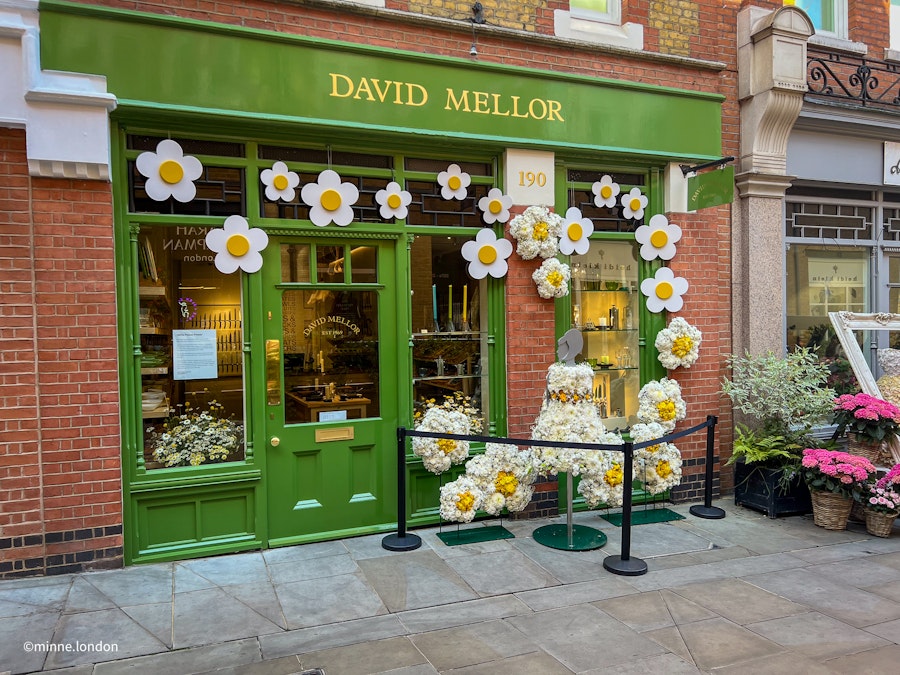 David Mellorin viehättävä liike Pavilion Roadilla esitteli päivänkakkaroita.