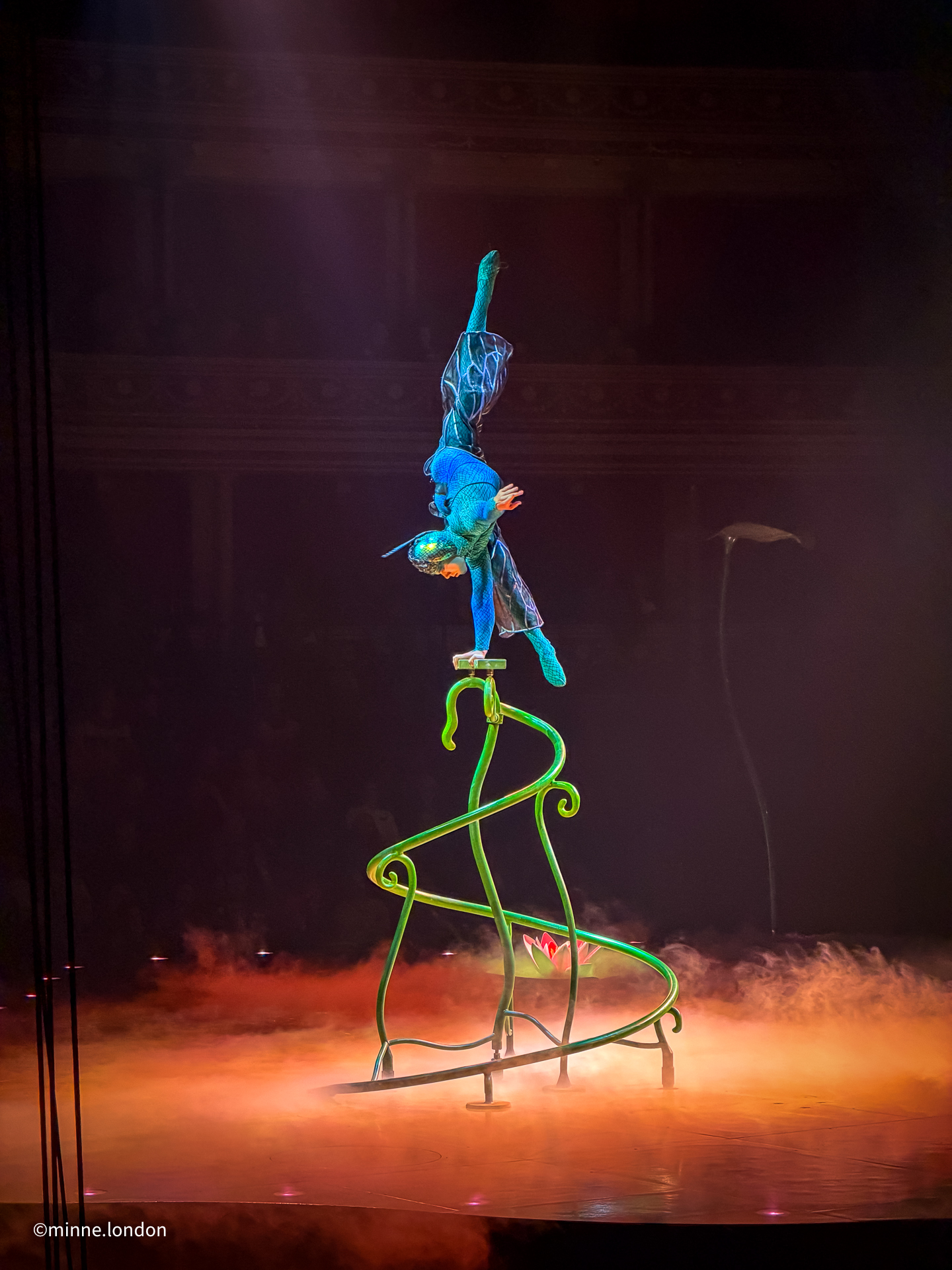 Cirque du Soleil OVO - Dragonfly acrobatics