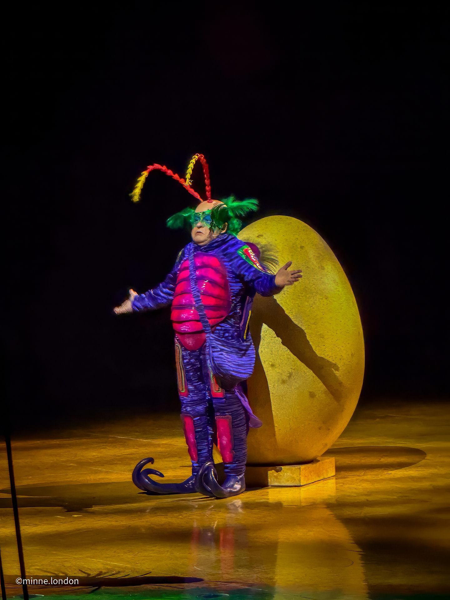 Cirque du Soleil OVO - Even the insect community leader is dismayed