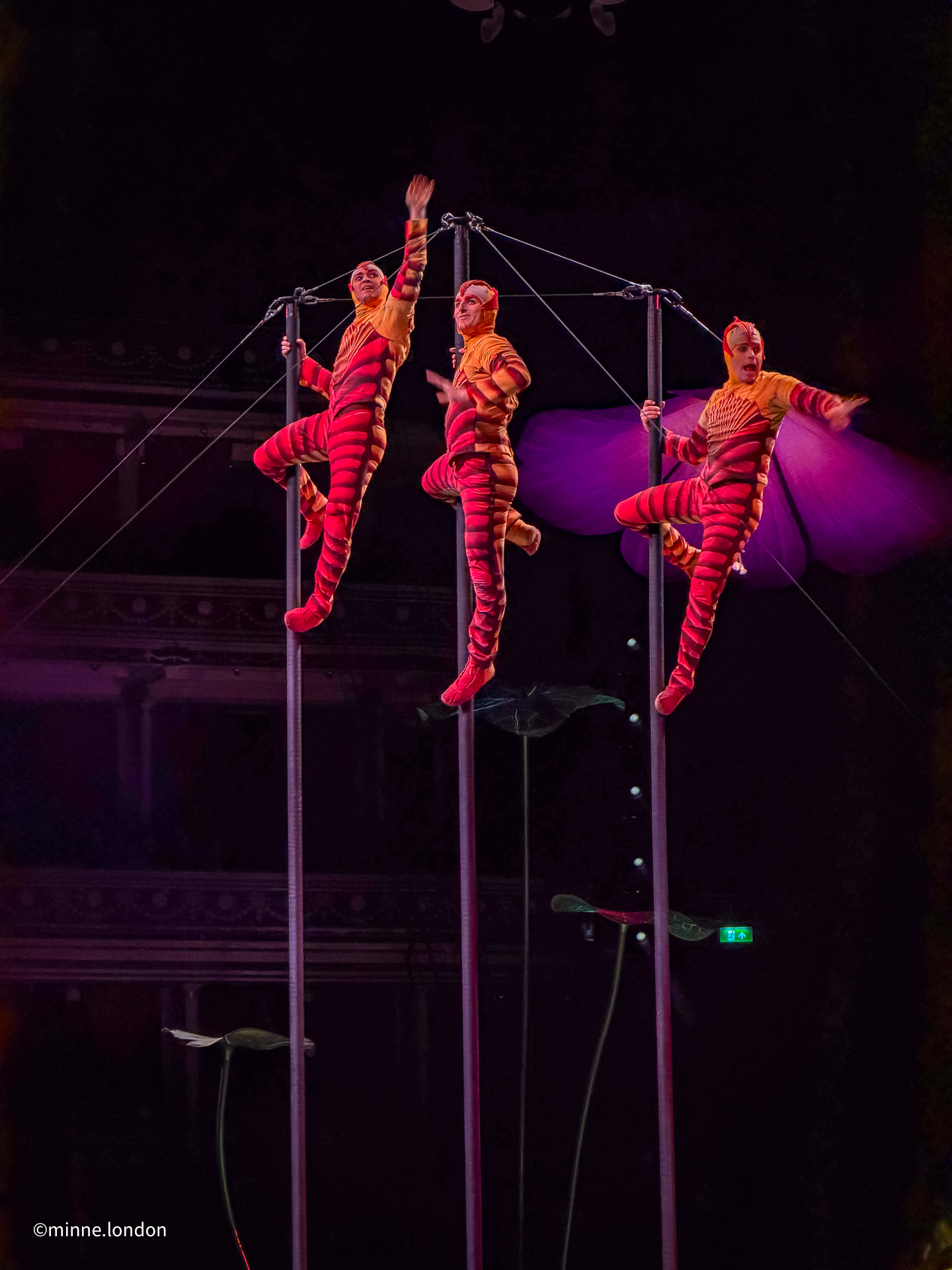 Cirque du Soleil OVO - Fleas climbing up and down flower stems