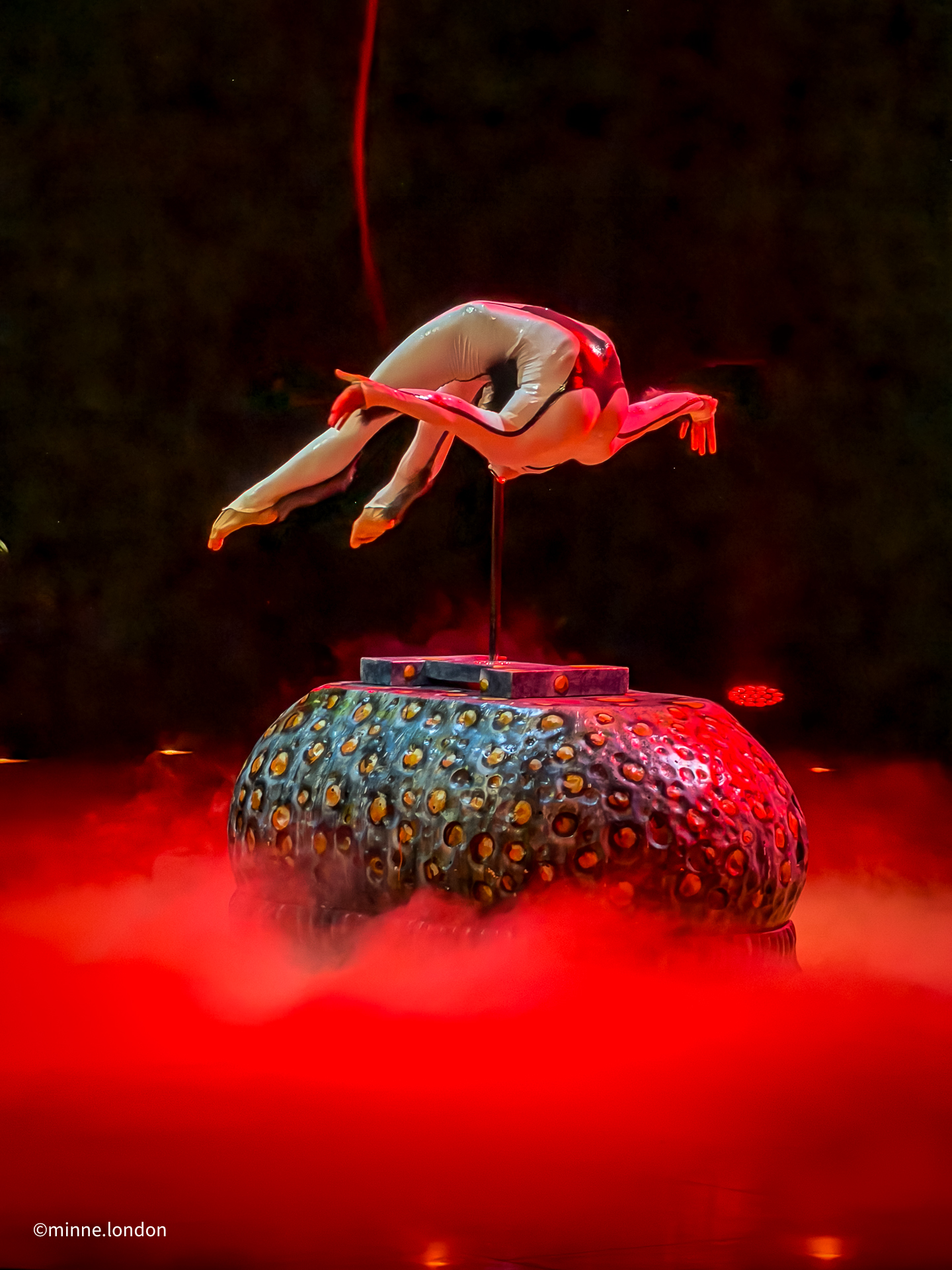 Cirque du Soleil OVO - Spider contortionist