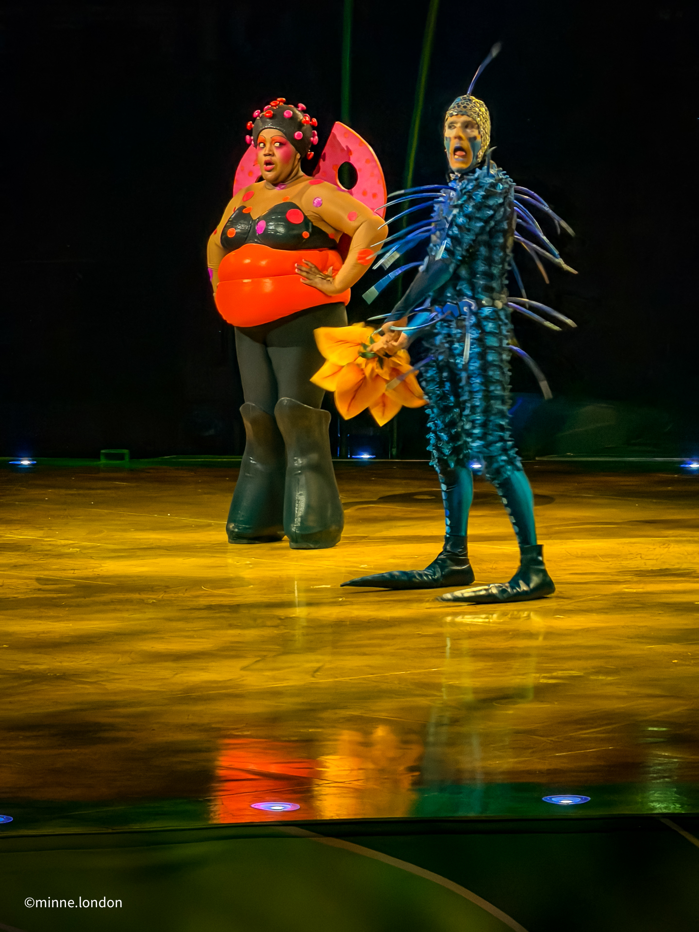 Cirque du Soleil OVO - The romance of the Ladybug and the fly?