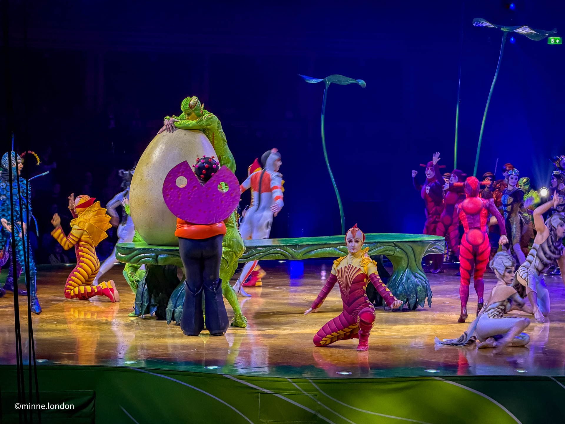 Cirque du Soleil OVO - Spider balancing on the swinging wire