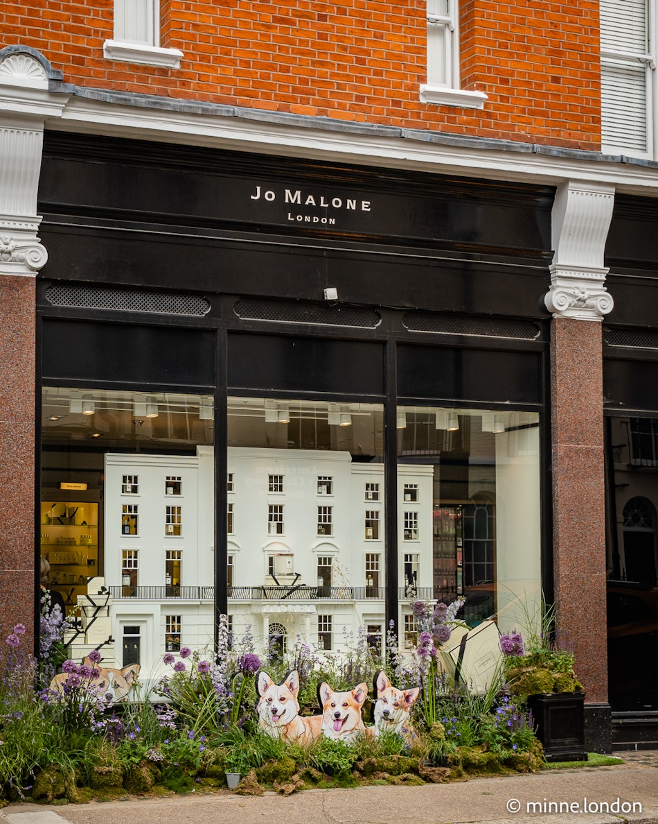Jo Malone floral installation with illustrated corgis