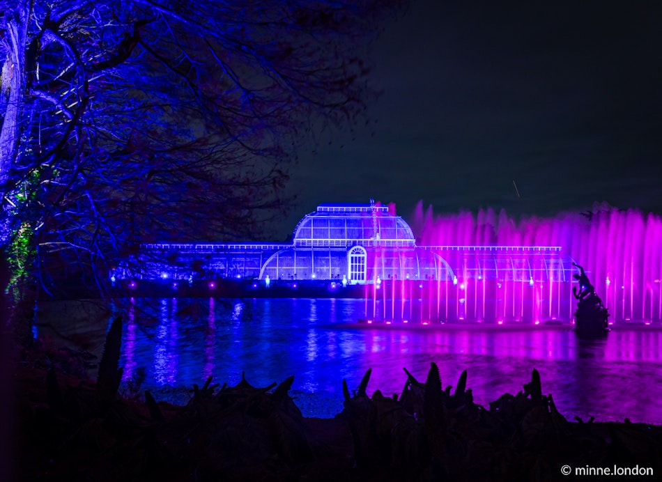 Palm House Laser Show