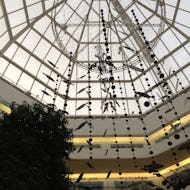Ceiling of the Design Centre
