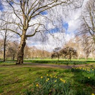 Green Park next to Buckingham Palace