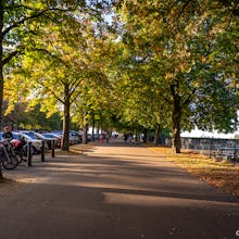 Many people drive to the park