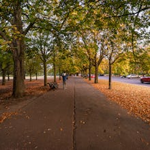 Greenwich Park is great for families
