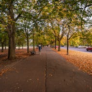 Greenwich Park is great for families