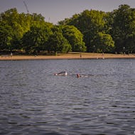 Members of the Serpentine Swimming Club can swim in the lake every day from 5AM to 9:30AM