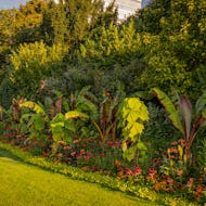 Plants and flowers in Kensington Gardens