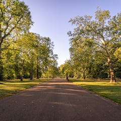 A broad pathway in Kensington Gardens