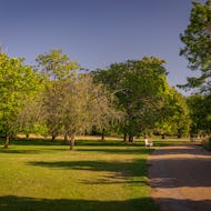 Lovely park view and a bench in Kensington Gardens