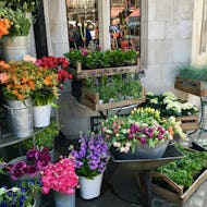 Flowers for sale outside of Liberty