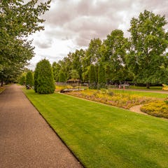 Hyvin hoidettuja puutarhoja