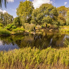 Lampi ja patsas Regent’s Parkissa