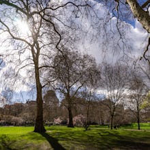 St James's Park views