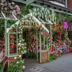 The Ivy Chelsea Garden