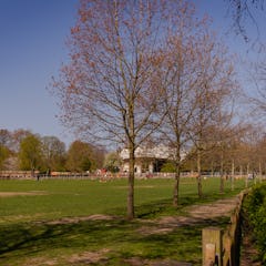 Näkymä urheilukenttien yli kohti Opera Holland Parkia